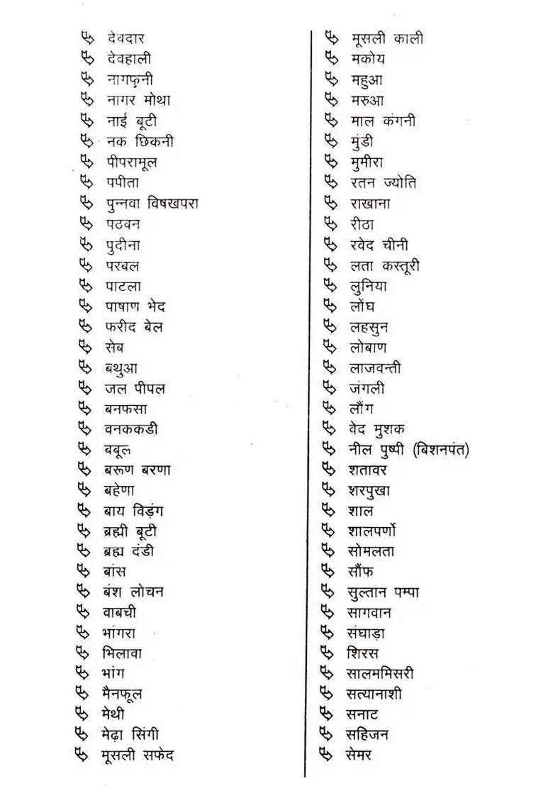 Jadi-Bootiyon, Phal-Sabziyon Se Swasthya Evam Chikitsa - Indya