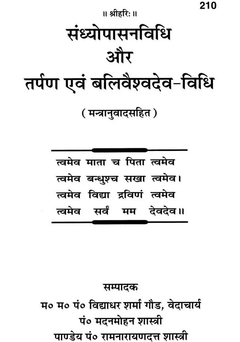 How to Perform Sandhya, Tarpan and Bali Vaishvadeva - Indya