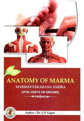 Anatomy of Marma- Marmavyakarana Sarira (Vital Parts or Organs)