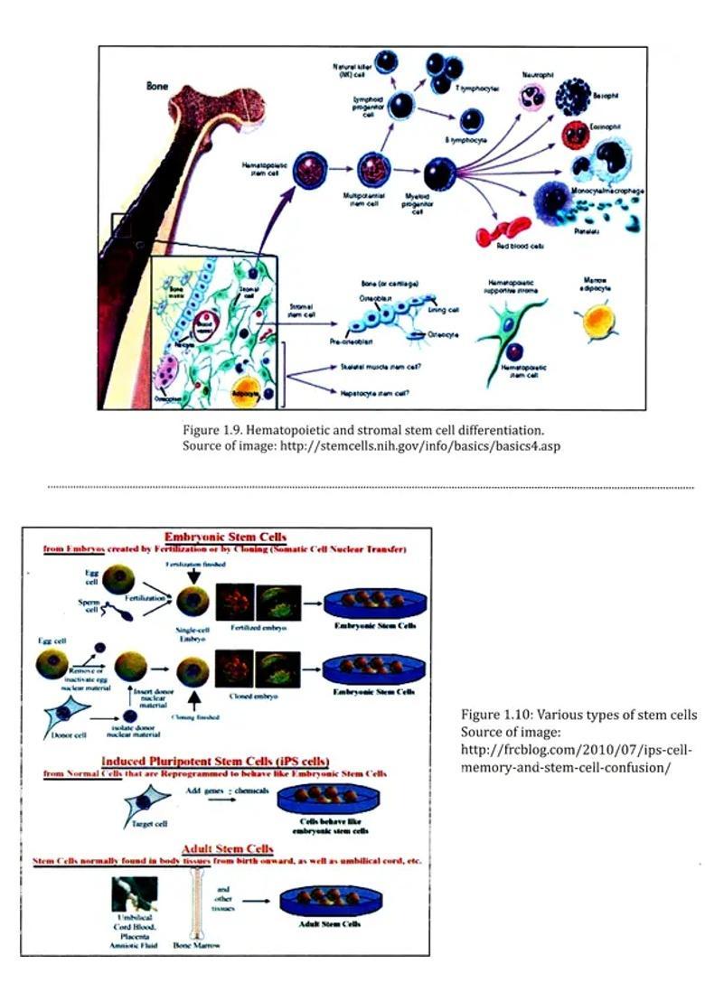 Interactive Workshop on Ayurveda (Shukravaha Srotas and Artavavaha Srotas, their Srotodushti Vikara Management) - Indya