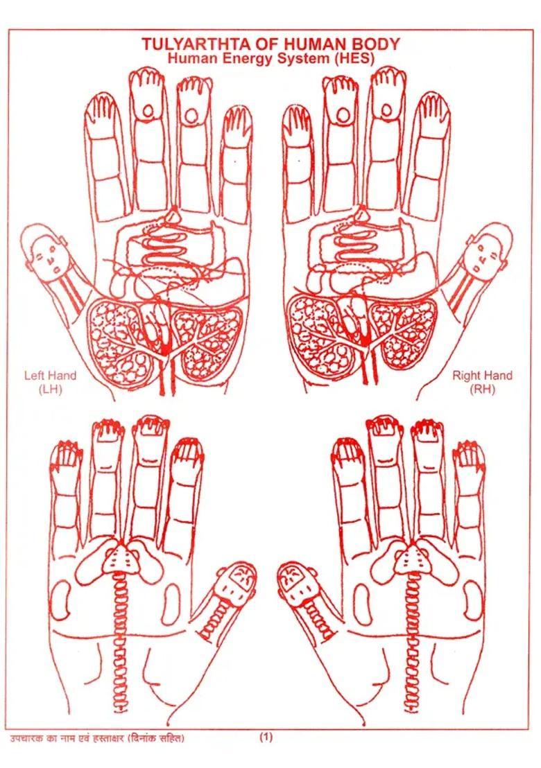 Ayurvedic Acupressure Charts Booklet (Ten Origin Concept) - Indya