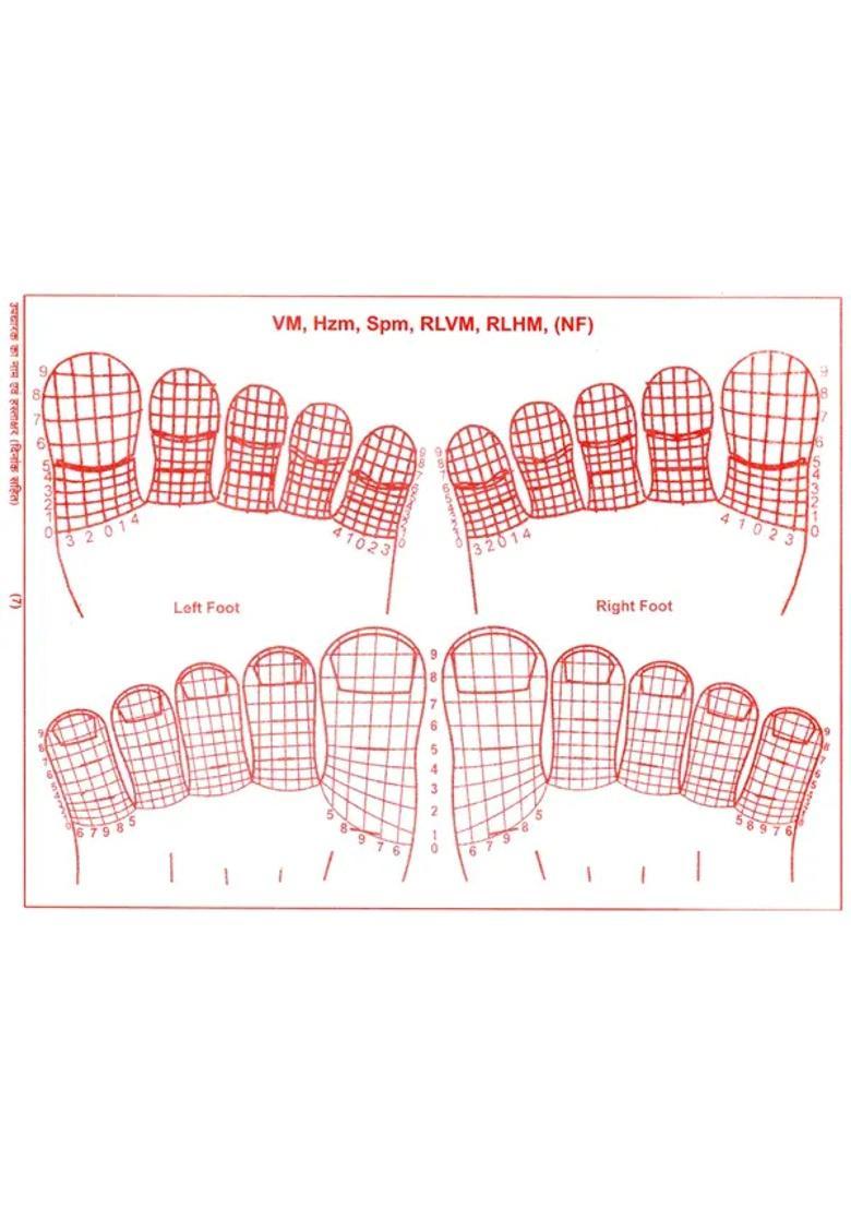Ayurvedic Acupressure Charts Booklet (Ten Origin Concept) - Indya