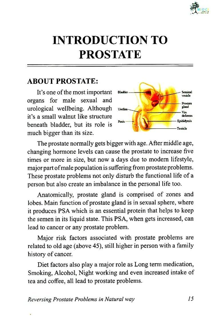 Reversing Prostate Problems in Natural Way (Without Surgery And Harmful Chemical Drugs) - Indya