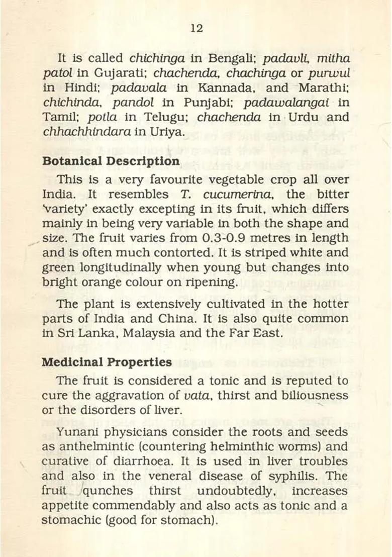 Gourds and Pumpkins- Traditional Family Medicine (Health Series) - Indya