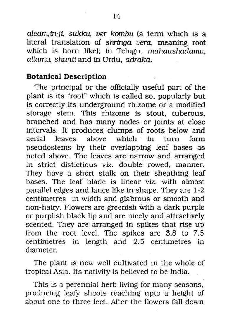 Ginger and Turmeric- Traditional Family Medicine (Health Series) - Indya