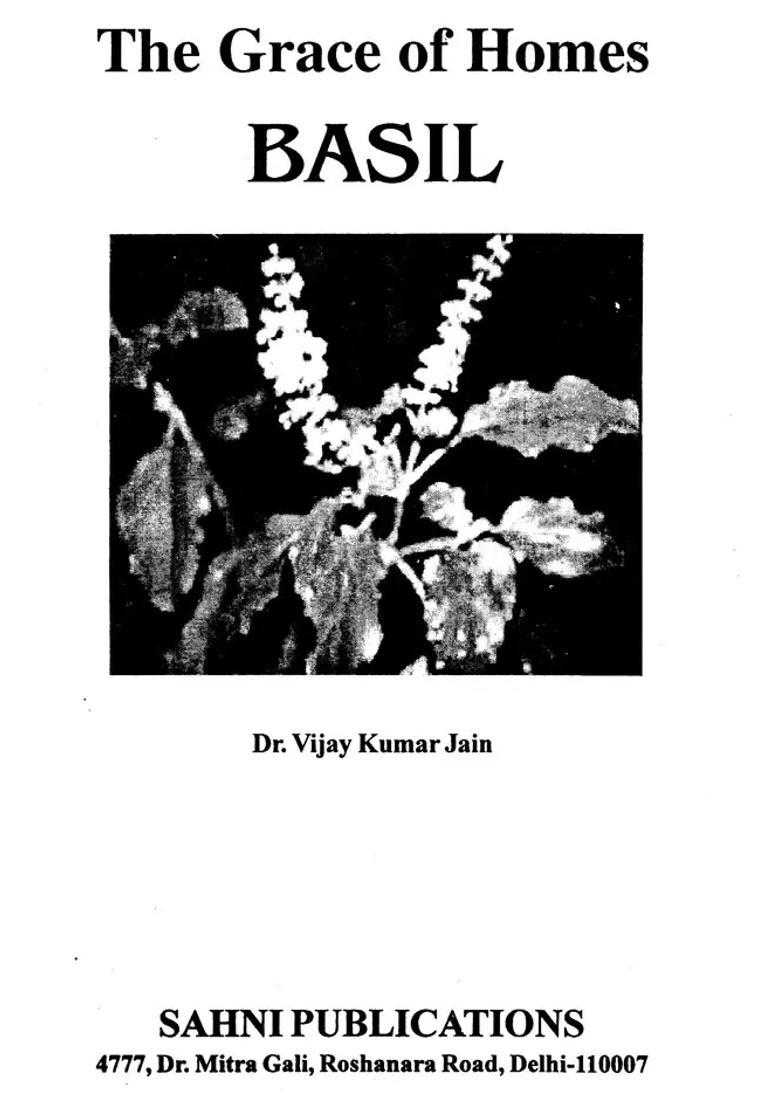 The Grace of Homes Basil (Tulsi) - Indya
