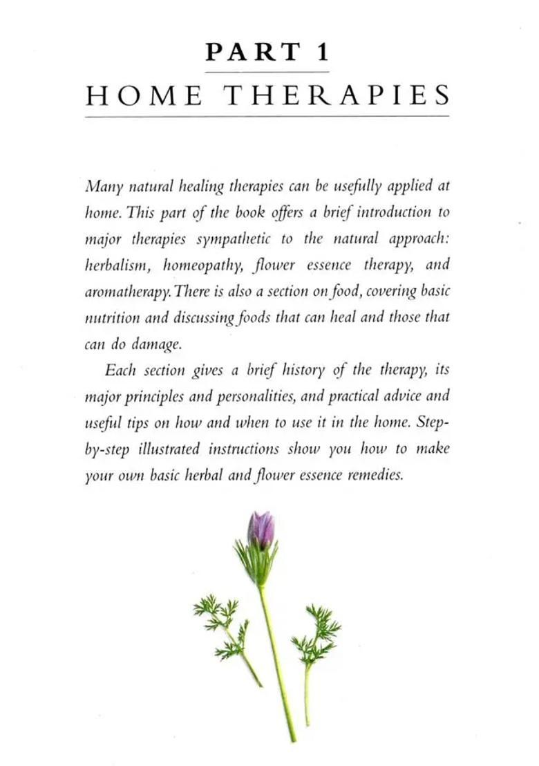 The Complete Family Guide to Natural Home Remedies- Combating Illness Naturally - Indya