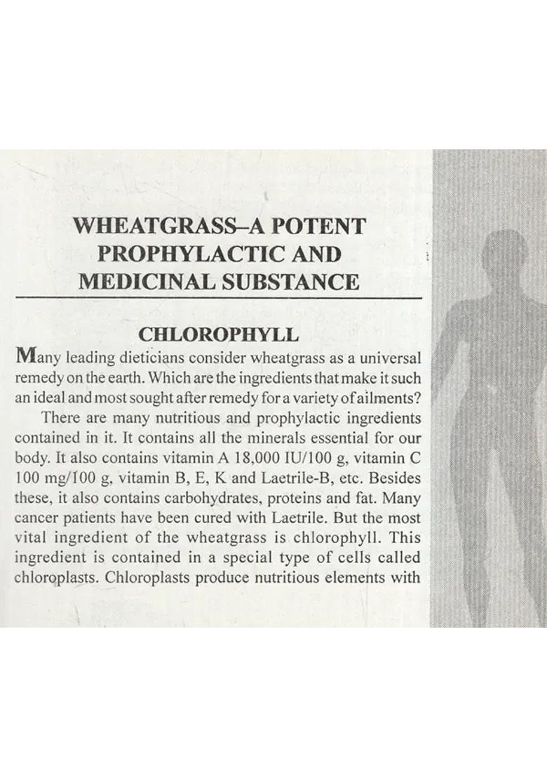 Improve Your Health with Wheatgrass Grains (A Pratical Guide for Everyone) - Indya