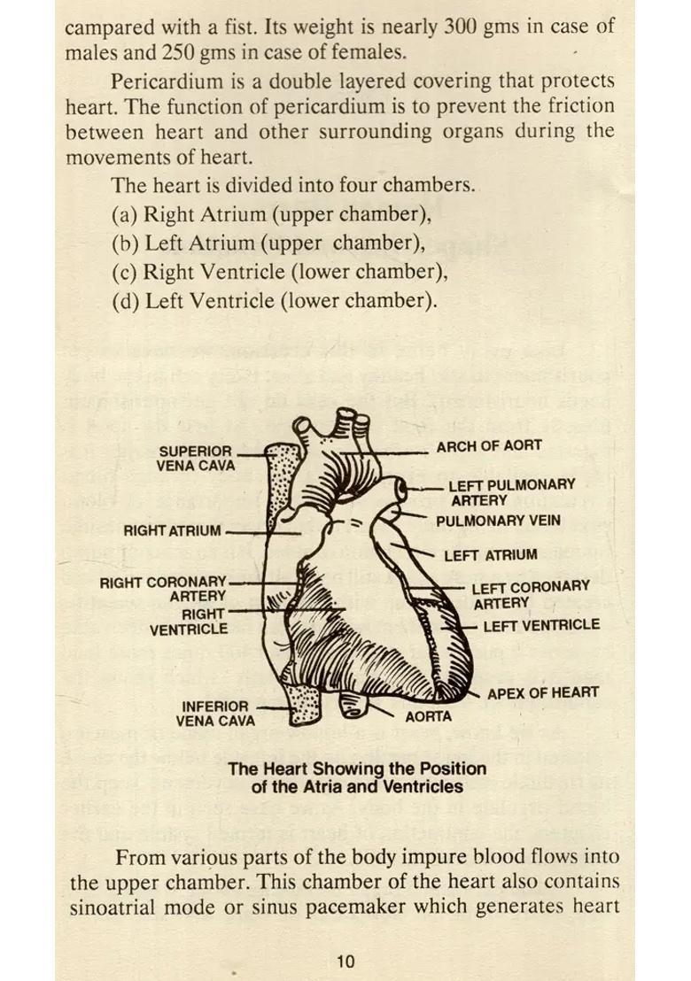 Causes Cure of Heart Ailment - Indya