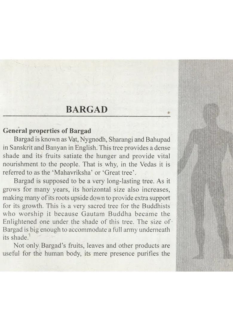 Improve Your Health with Trees Plants (A Practical Guide for Everyone) - Indya