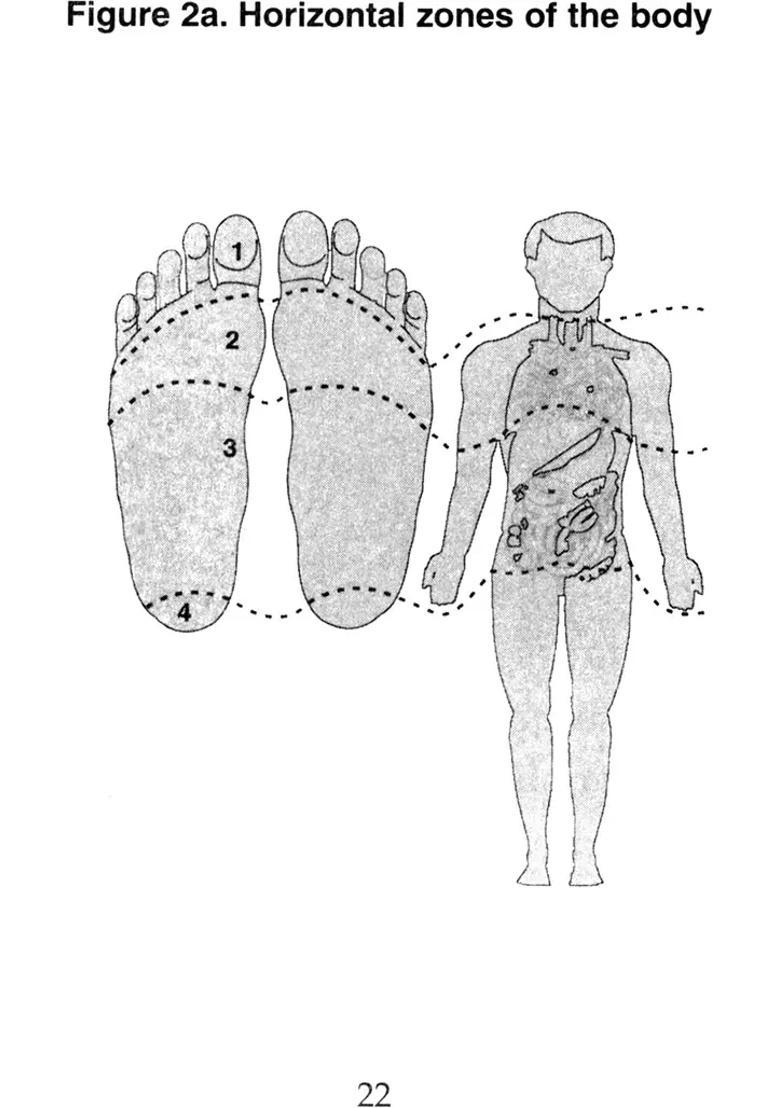 All you wanted to know about Acupressure in Daily Life - Indya
