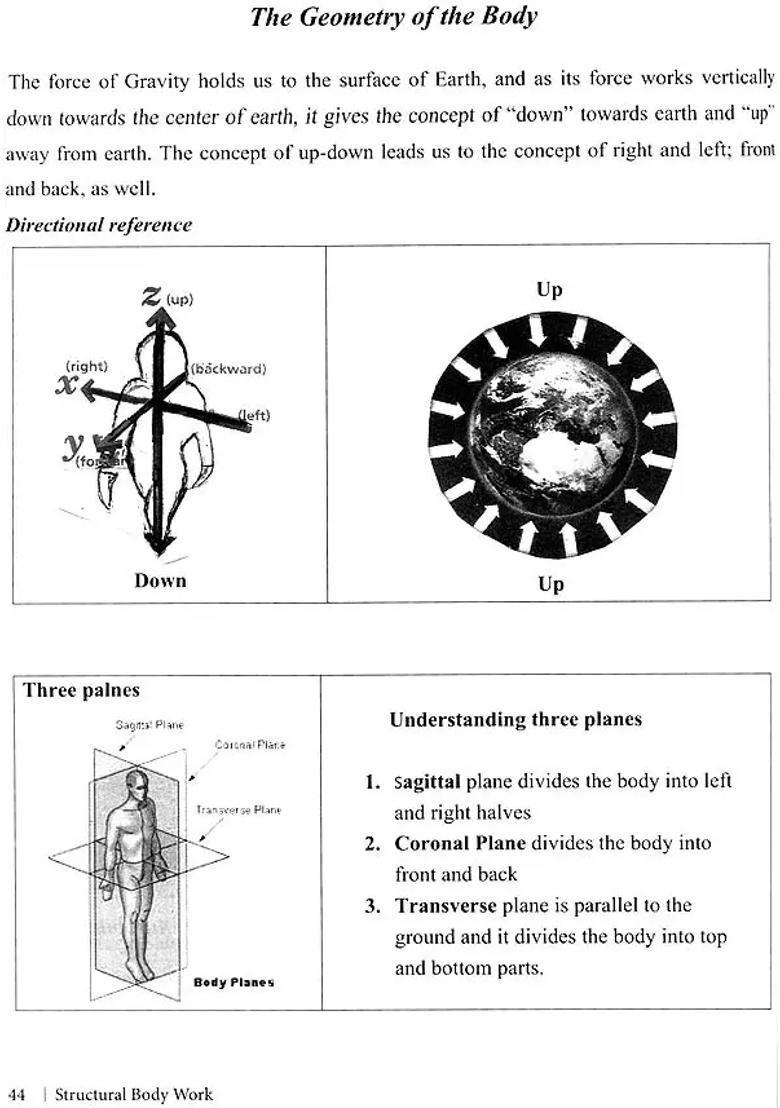 A Complete Guide for Structural Body Work - Manual Therapy (The Theory and Practice) - Indya