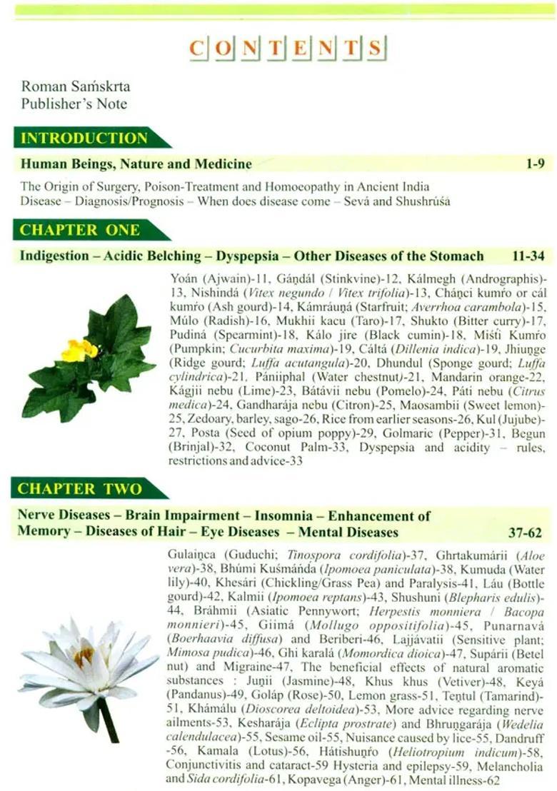 Natural Medicine - Indya