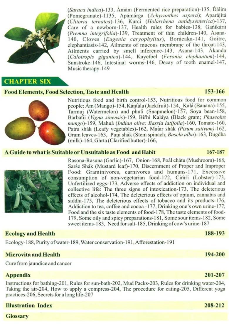 Natural Medicine - Indya