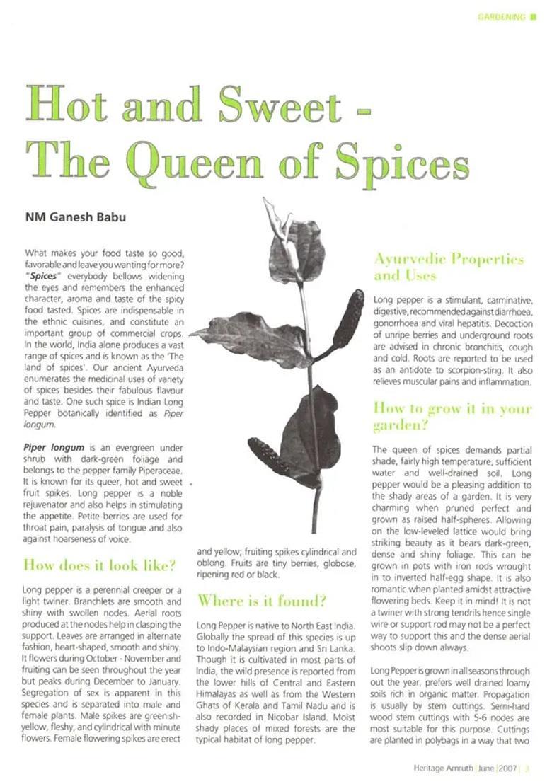 Heritage Amruth (Amruth for Digestive Disorders) - Indya