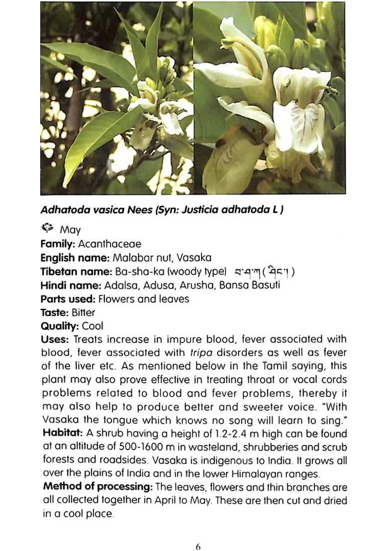 A Handbook of Tibetan Medicinal Plants - Indya