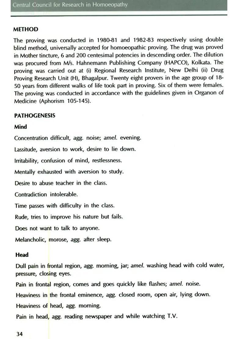 Cassia Fistula - Indya