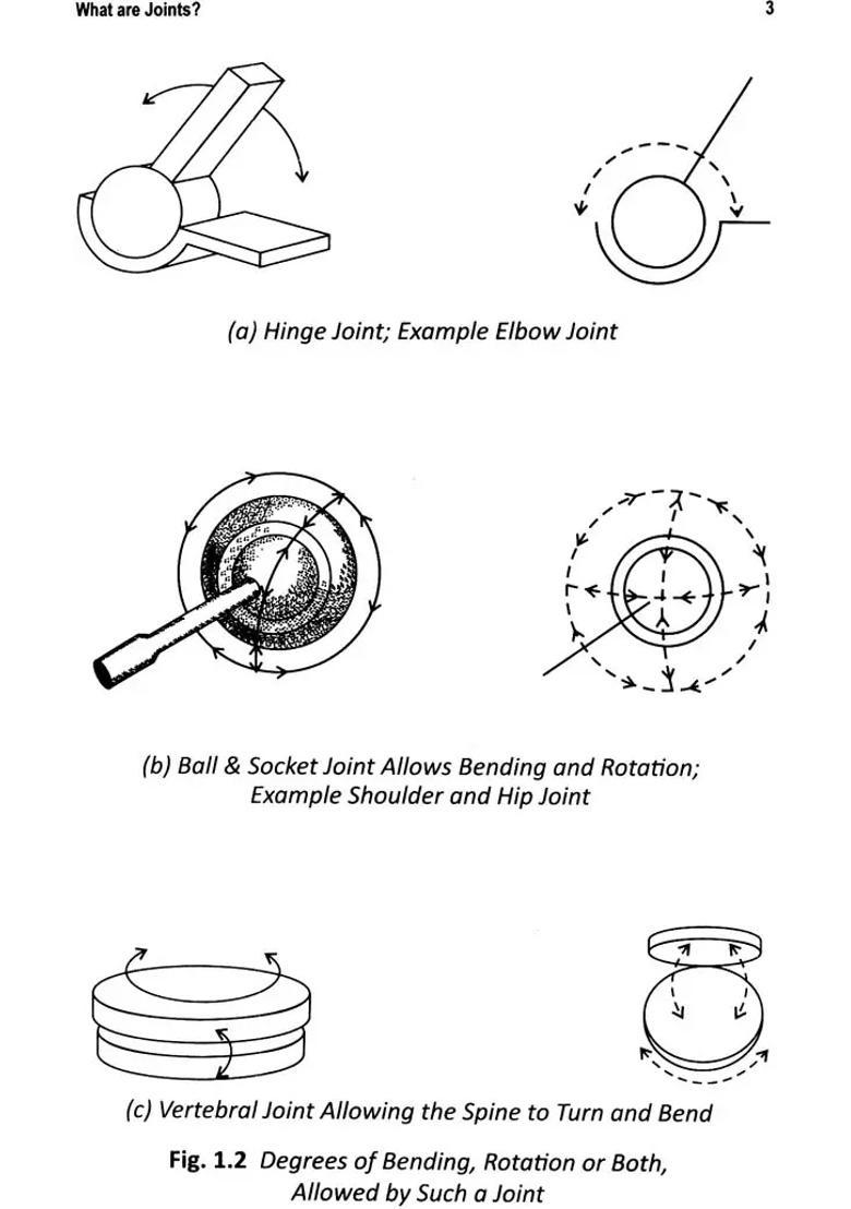 Defeat Joint Pains - Indya