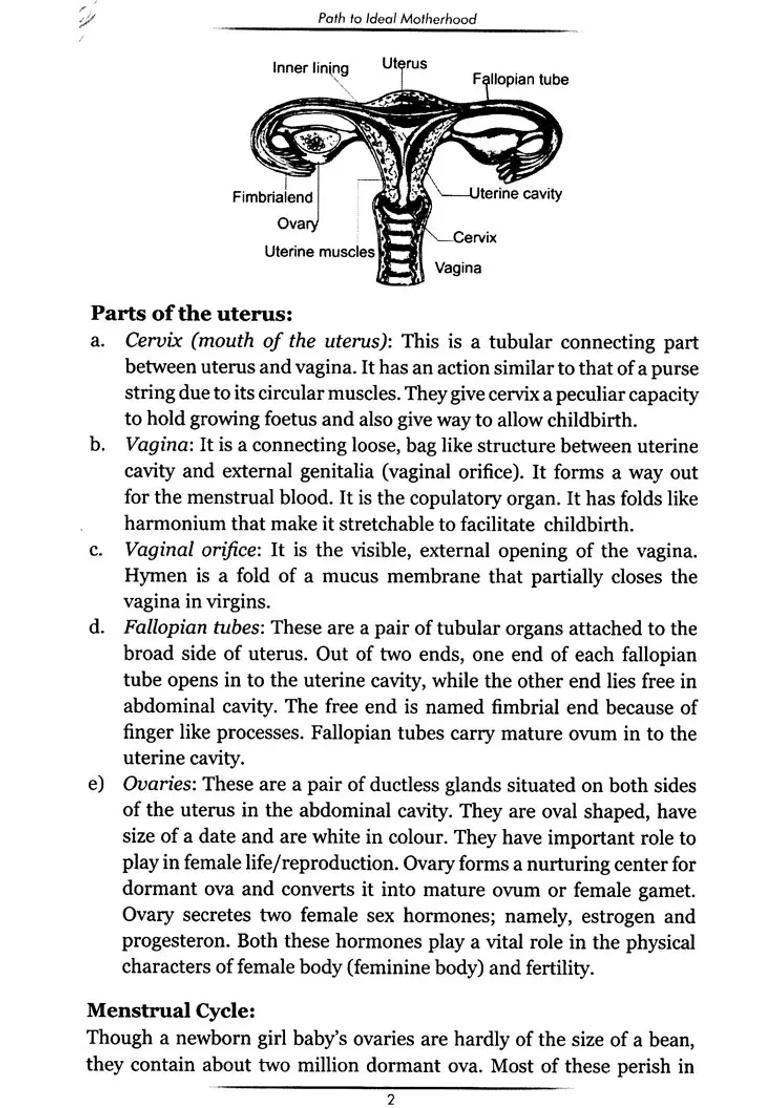 Path to Ideal Motherhood (Garbha Sanskar) - Indya