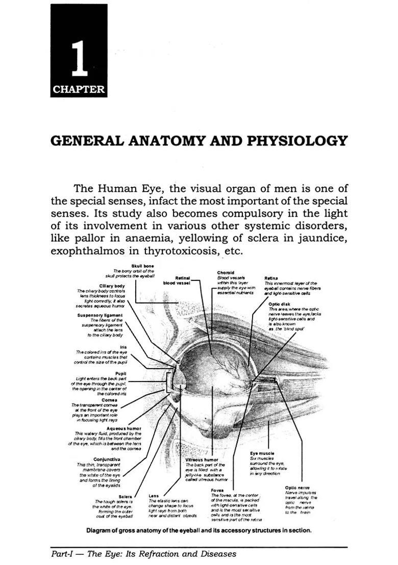 Solved Papers on Diseases of Eye Ear (Ophthalmology Otology) with Homeopathic Therapeutics - Indya