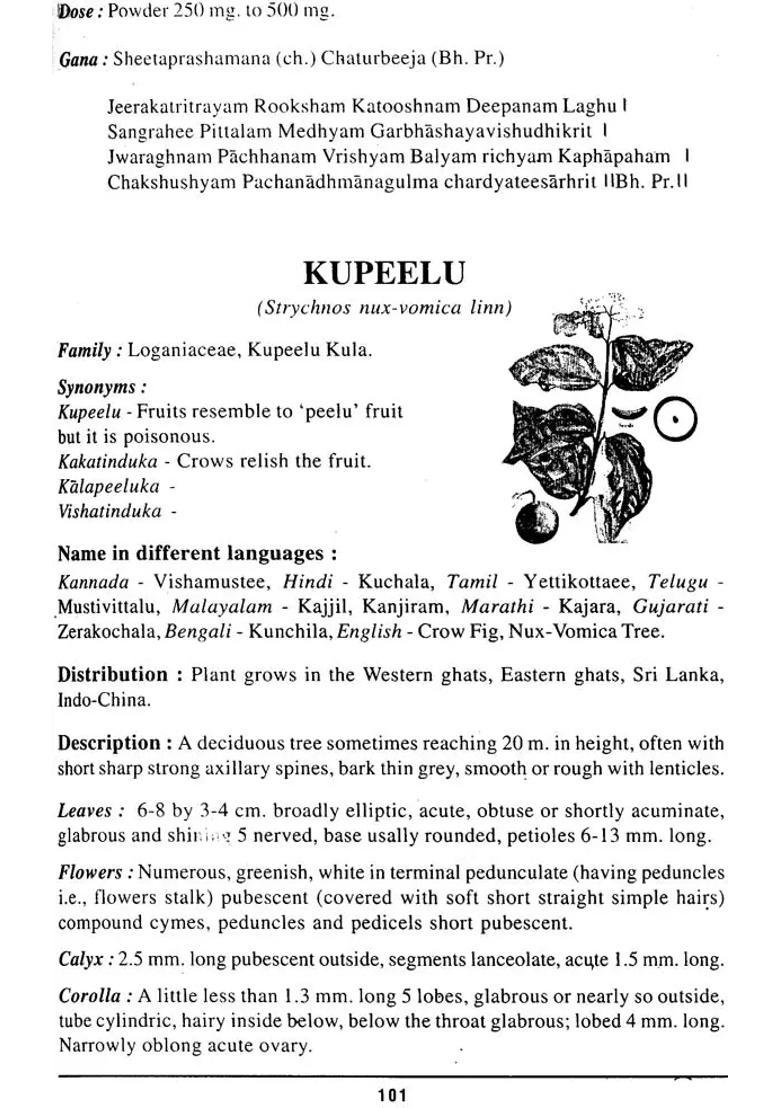 A Hand Book of Medicinal Plants - Indya