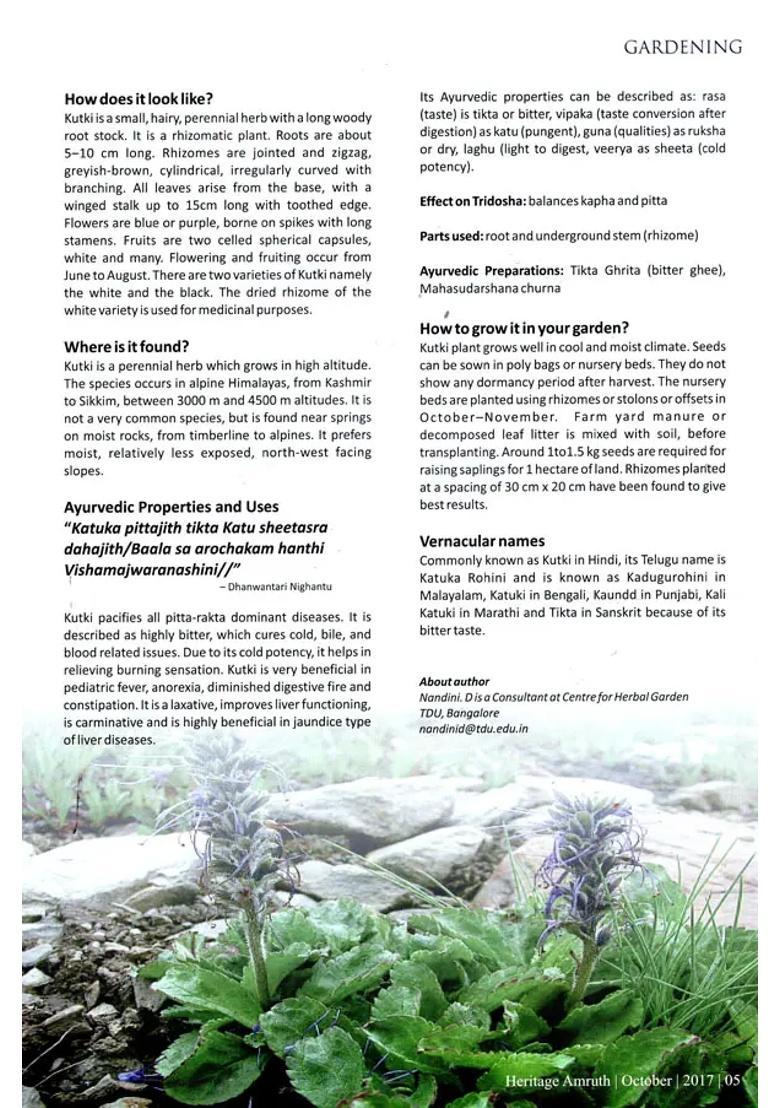 Heritage Amruth (Liver Care) - Indya