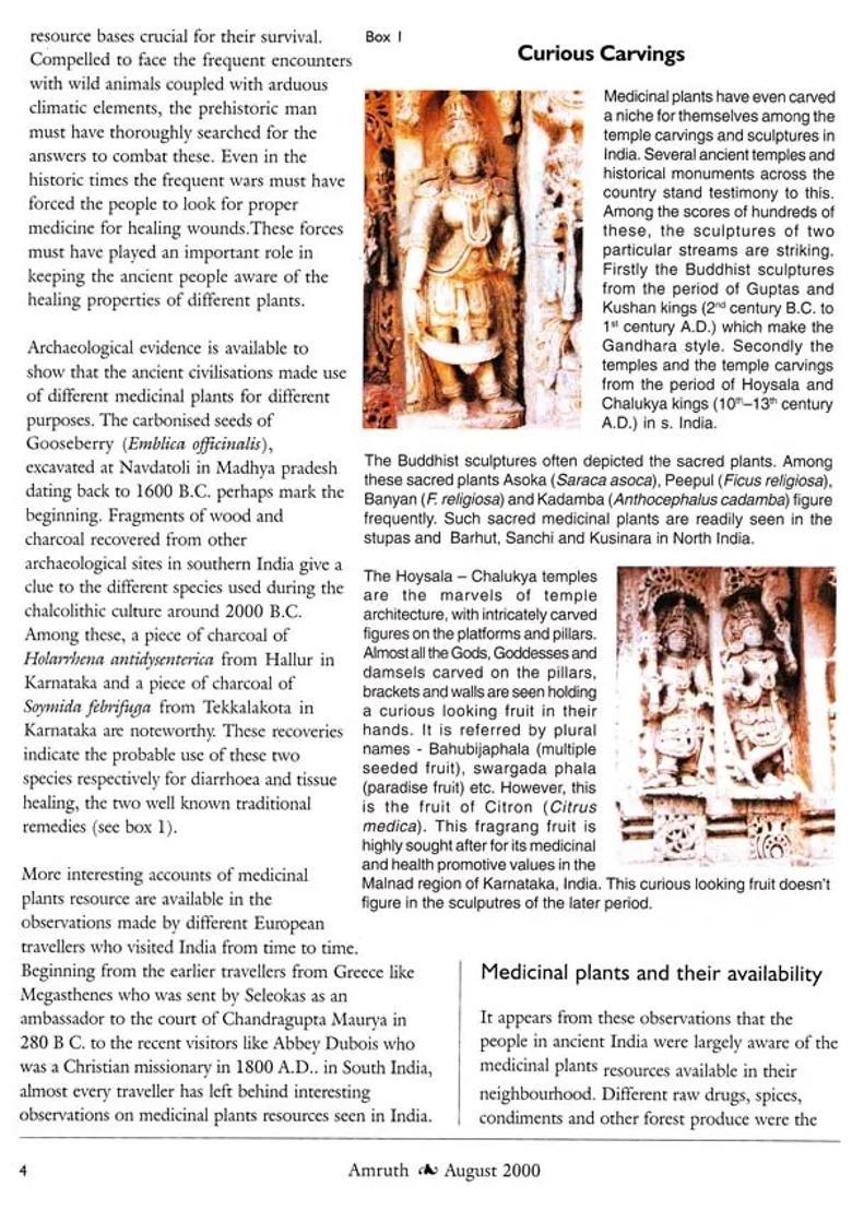 Amruth Historical Accounts of Herbs - Indya