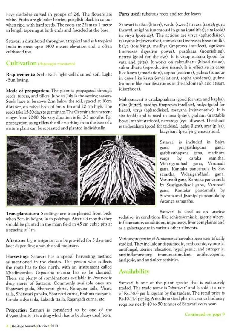 Health Special (Best of Amruth) - Indya