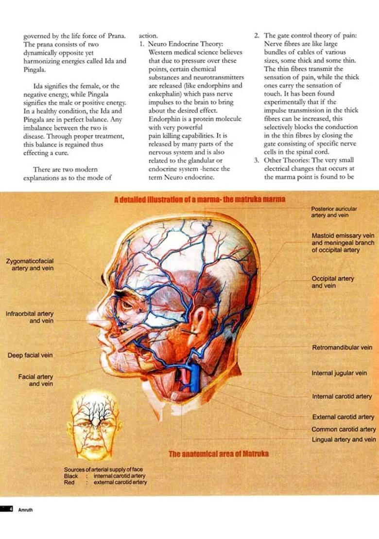 Amruth The Traditional Health Care Magazine - Indya
