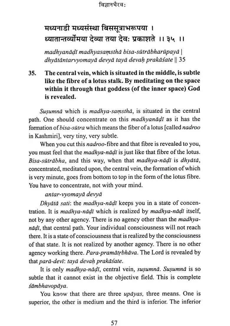 Vijnana Bhairava The Practice of Centring Awareness - Indya