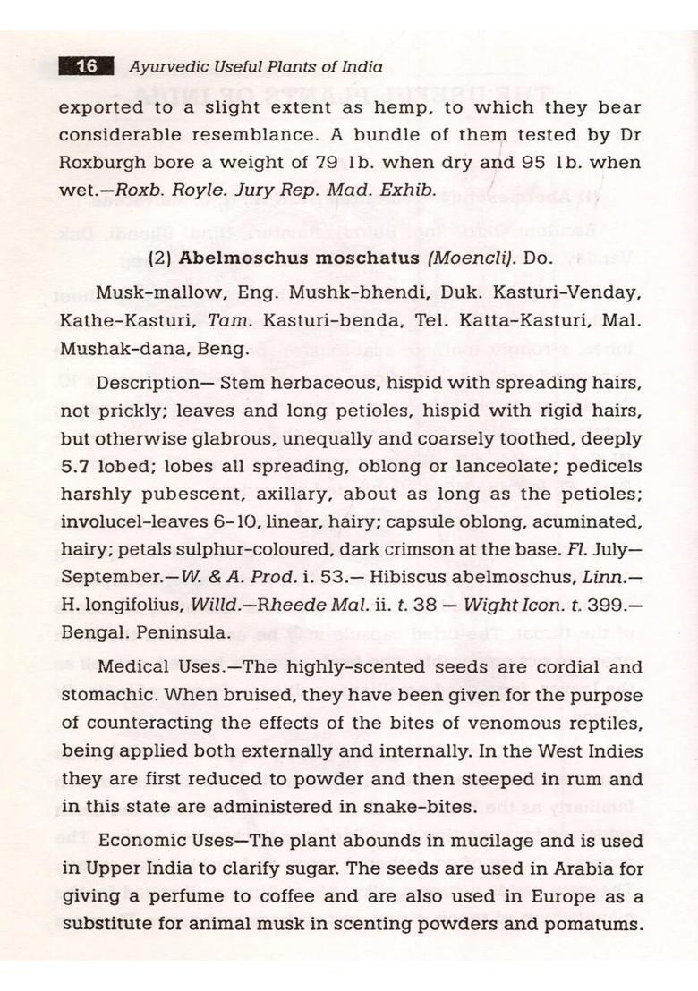 Ayurvedic Useful Plants of India (128 Illustrations) - Indya