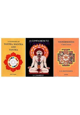 Dictionaries of Tantra (Set 3 Books)
