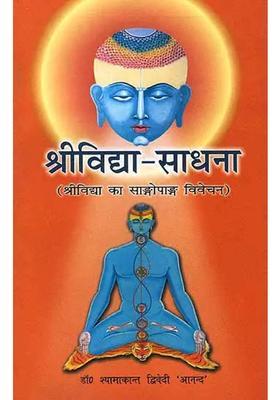 Sri Vidya Sadhana In Hindi