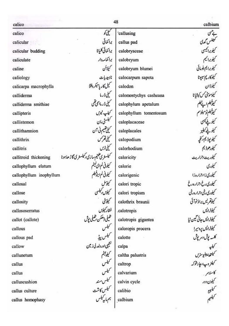 Botany Glossary Of Technical Terms Englishurdu An Old And Rare Book - Indya