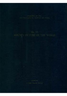 Birunis Picture Of The World No