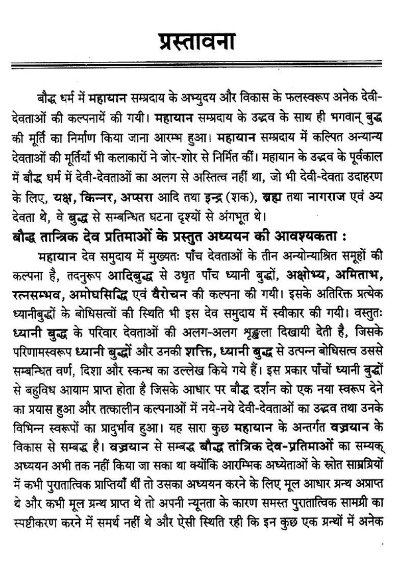 Study Of Buddhist Tantric Deity Idols - Indya