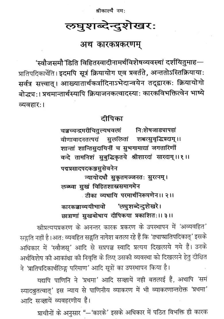 Laghu Shabdendu Shekhar An Old Book - Indya