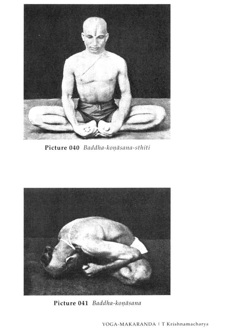 Yoga Makaranda The Nectar Of Yoga - Indya