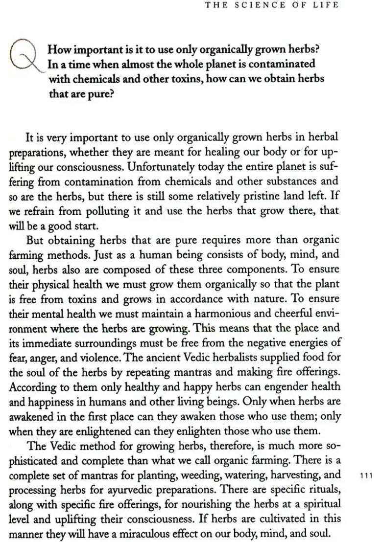 Inner Quest Yogas Answers To Lifes Questions - Indya