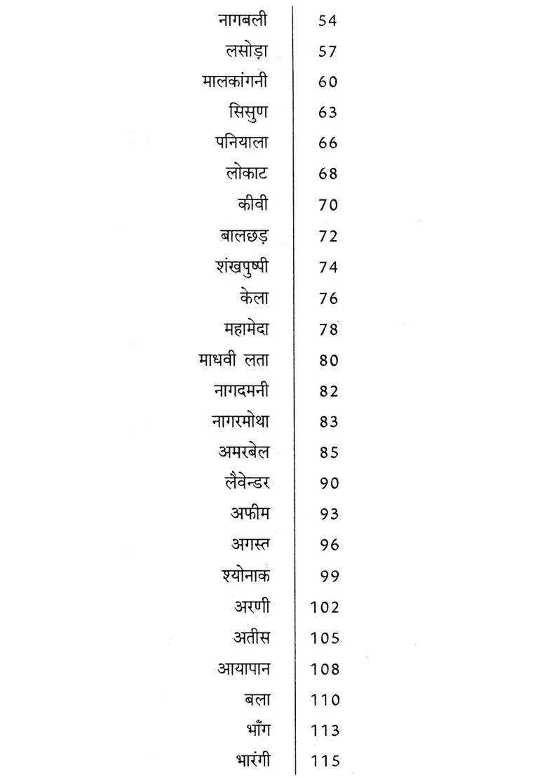 Divine Medicines - Indya