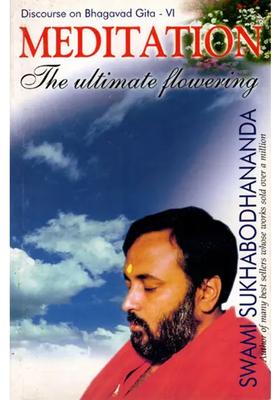 Meditation The Ultimate Flowering Discourse On Bhagavad Gita Vi