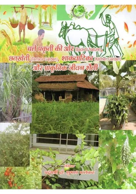 Back To Nature And Natural Lifestyle Terrace Garden Kitchen Garden