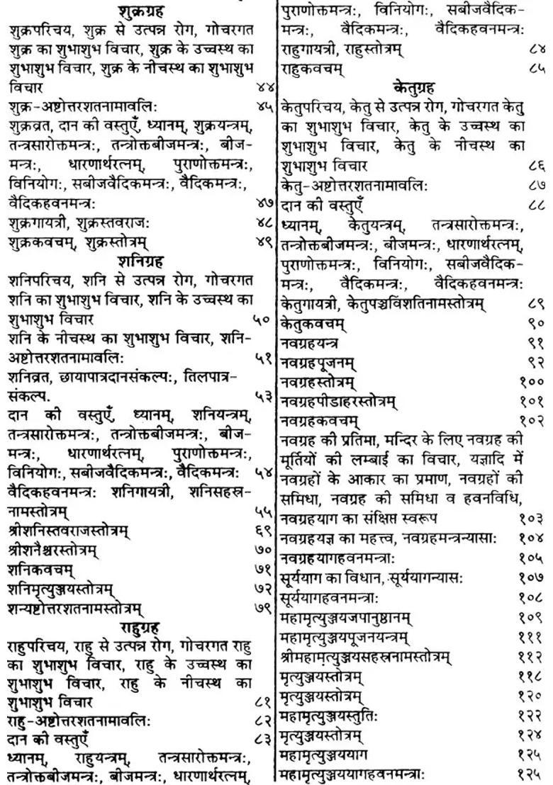 Navagraha Stotra And Shanti Vidhi - Indya