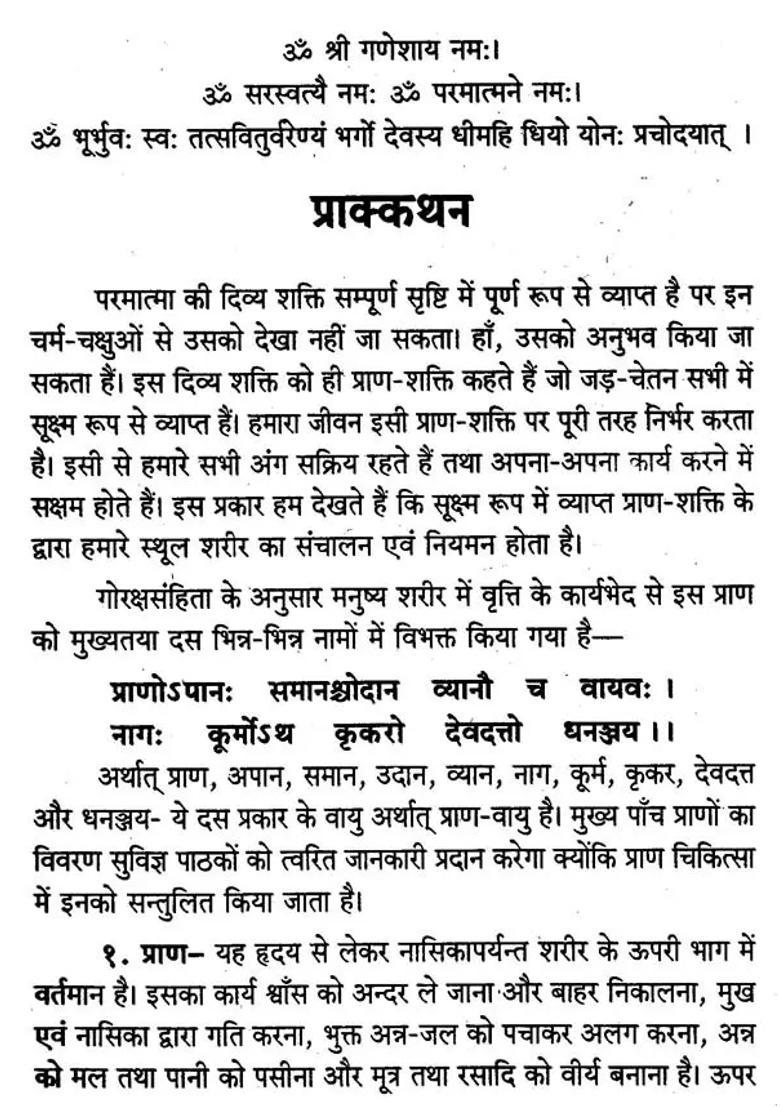 Prana Chikitsa Spiritual Healing Method - Indya