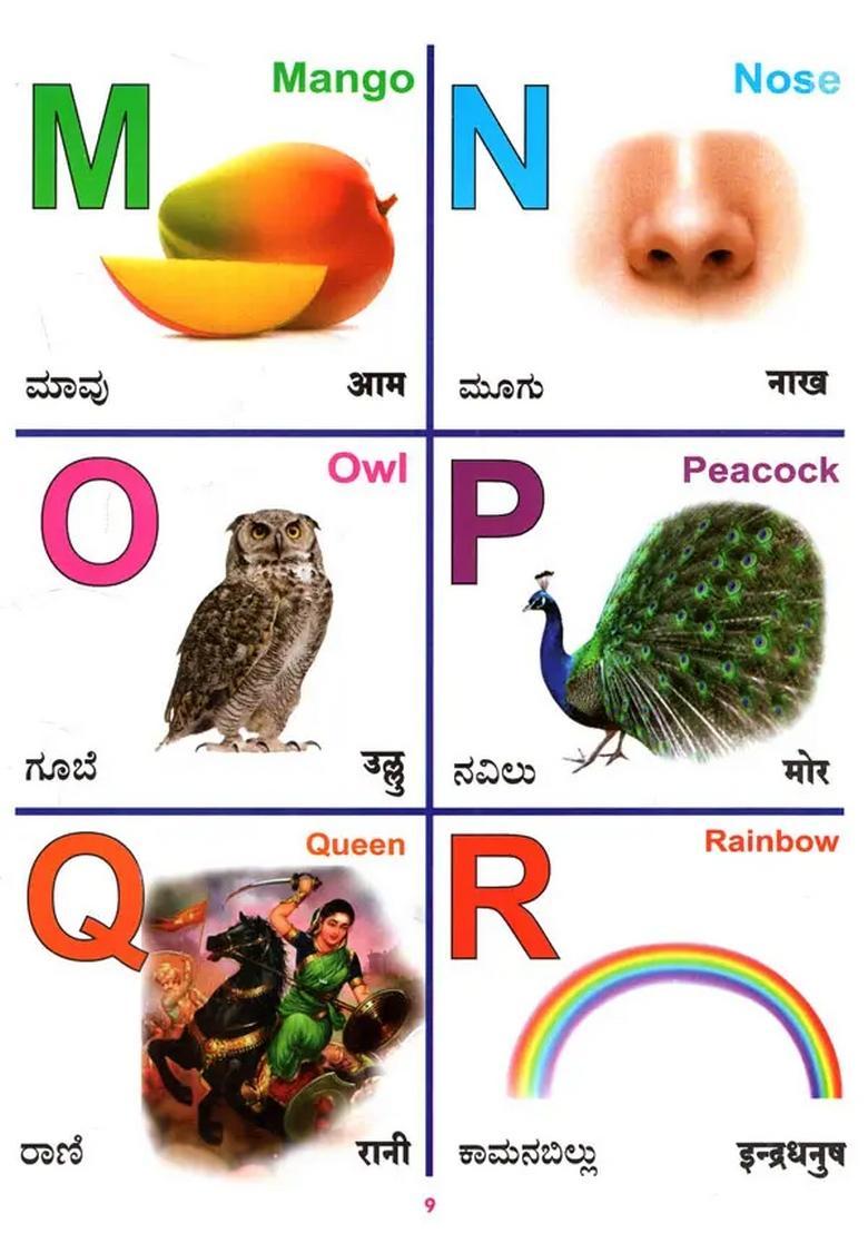 Vijay All In One Kannada English Hindi - Indya