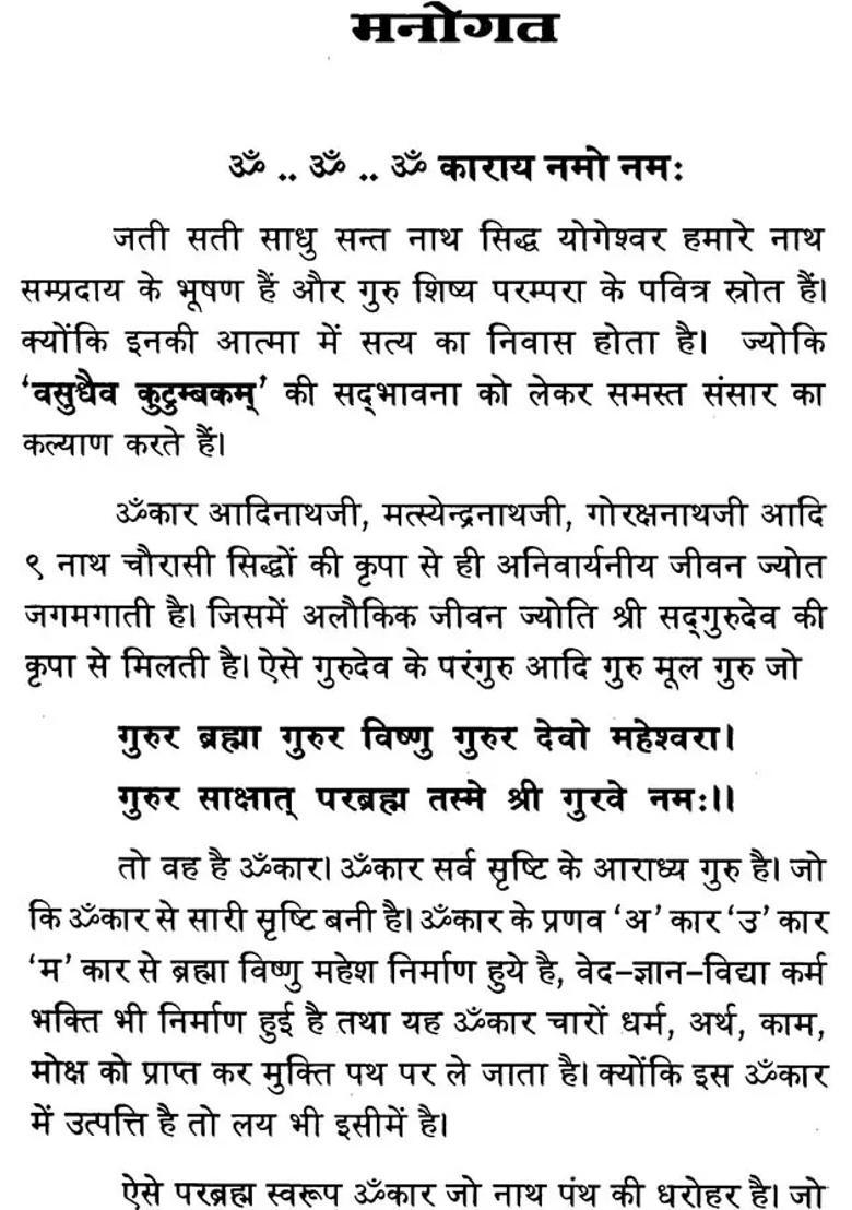 Omkar Siddhi Of Shri Nath Siddhas - Indya