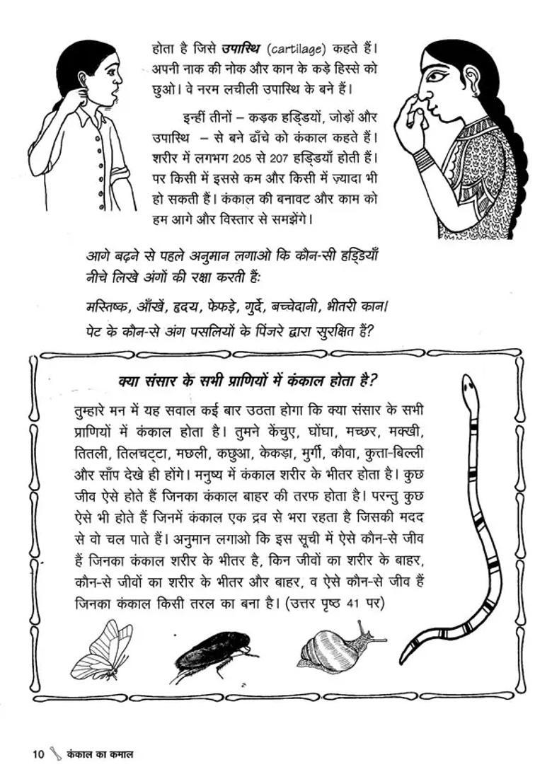 The Wonders Of The Skeleton Our Bones - Indya