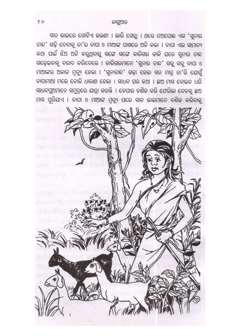 Jaguar A Childrens And Young Adult Novel Based On Mystery Adventure Sea Voyage And Turtle Rescue Oriya - Indya