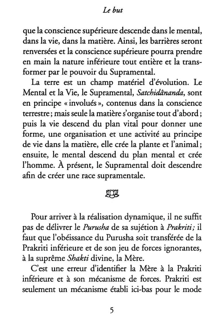 Les Bases Du Yoga The Basics Of Yoga French - Indya