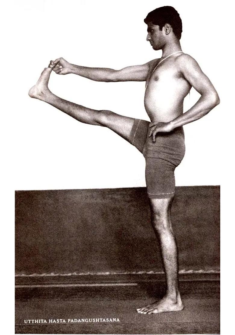 Yoga Mala The Original Teachings Of Ashtanga Yoga Master Sri K Pattabhi Jois - Indya